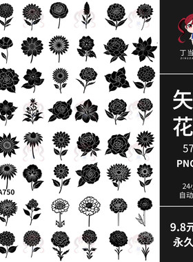 黑色花卉花朵植物玫瑰月季雏菊康乃馨AI矢量PNG免抠图可商用素材