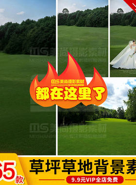 高清绿色草坪草地草丛花境PSD外景婚纱照修图后期ps背景合成素材