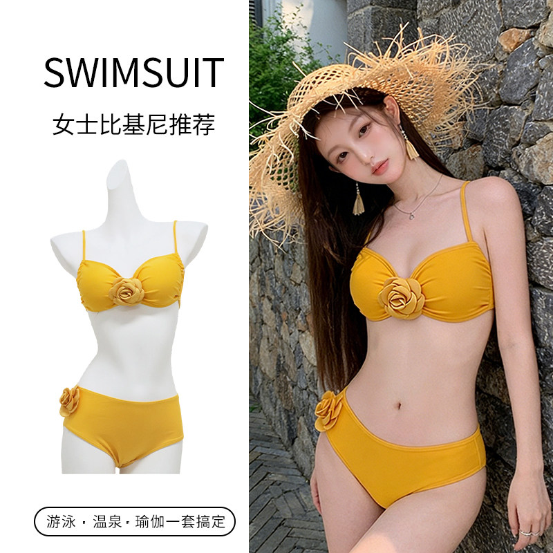 2026比基尼小胸钢托聚拢长裙三件套性感纯欲泳衣海岛度假温泉泳衣