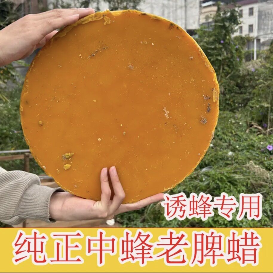 诱蜂蜡中蜂蜡诱蜂用土蜂蜡天然纯蜂蜡招蜂养蜂诱蜂桶老蜂巢蜡神器