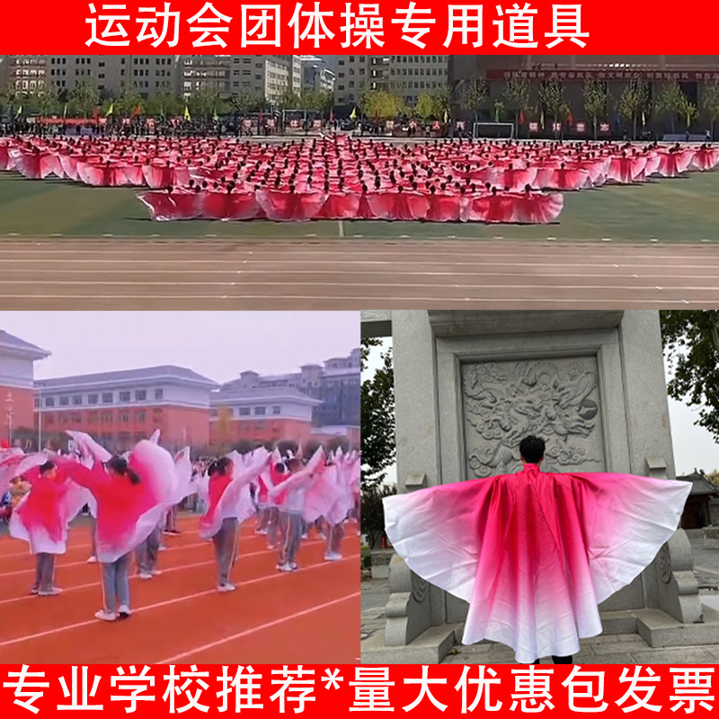 校园推荐专用道具变色翅膀