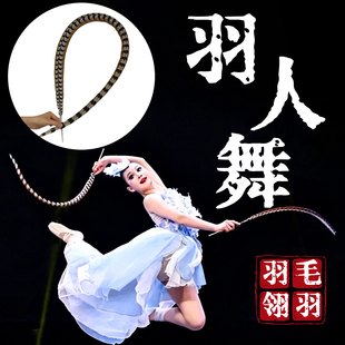 羽人舞翎羽舞蹈道具戏曲京剧翎子羽毛头饰古典舞跳舞表演专用翎毛