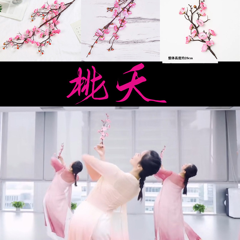 桃夭古典舞仿真桃花腊梅桃花舞蹈图片