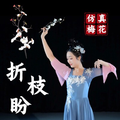 折枝盼舞蹈道具仿真梅花枝