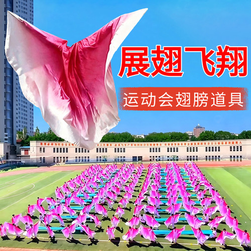 展翅飞翔运动会专用翅膀道具披风