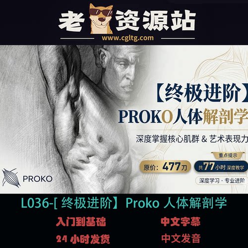 L036-[终极进阶】Proko人体解剖学