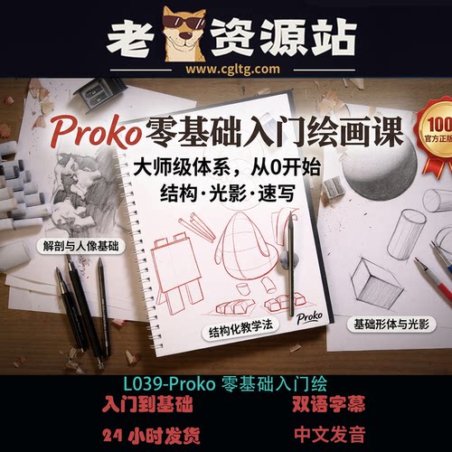 Proko零基础美术入门手绘课程