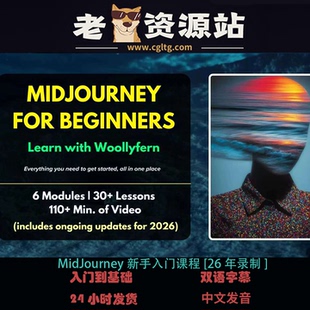 MidJourney新手入门课程[26年录制]