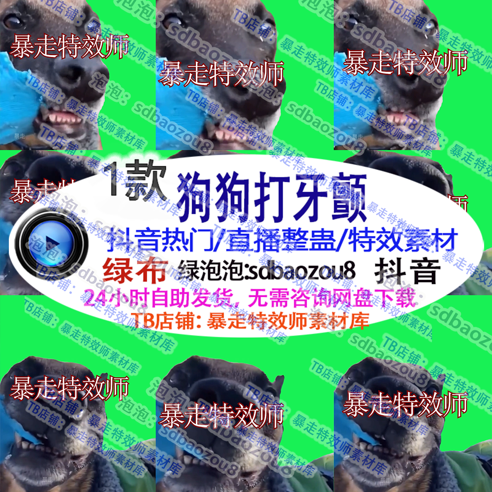 直播整蛊游戏 狗狗打寒战打牙颤大哥我热 绿幕视频特效素材抖音定