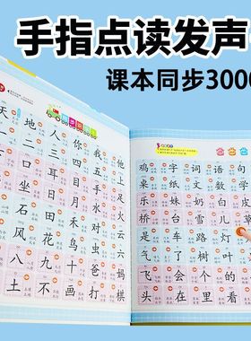会说话的识字大王3000字手指点读发声书幼小衔接一年级幼儿园儿童认字卡片识字书幼儿认字神器有声挂图早教书趣味汉字2000学前启蒙