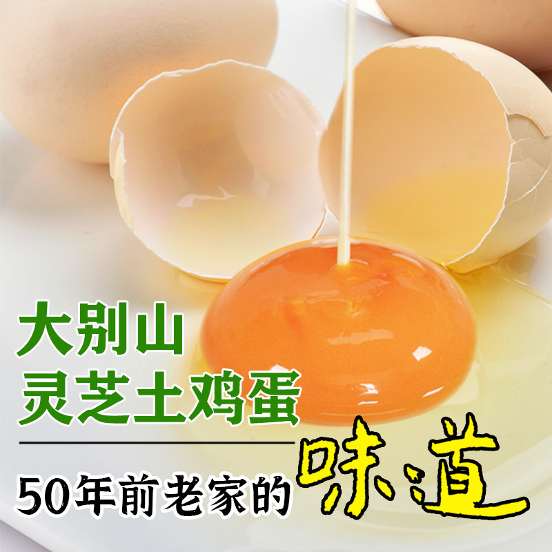 云湶谷灵芝土鸡蛋整箱40枚新鲜山林放养草鸡散养正宗有机鸡蛋