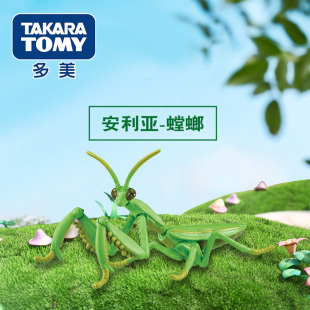 TOMY多美卡Ania安利亚仿真野生动物模型螳螂昆虫玩具摆件