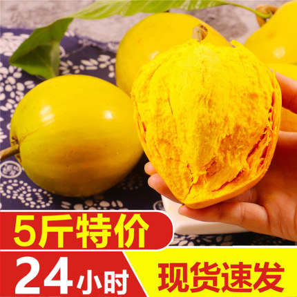 海南鸡蛋果5斤新鲜蛋黄果大果孕妇当季广西云南热带黄金水果包邮3