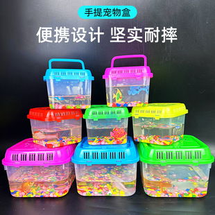 便携宠物盒手提乌龟盒小金鱼盒透明耐摔塑料盒爬宠运输盒厂家直发