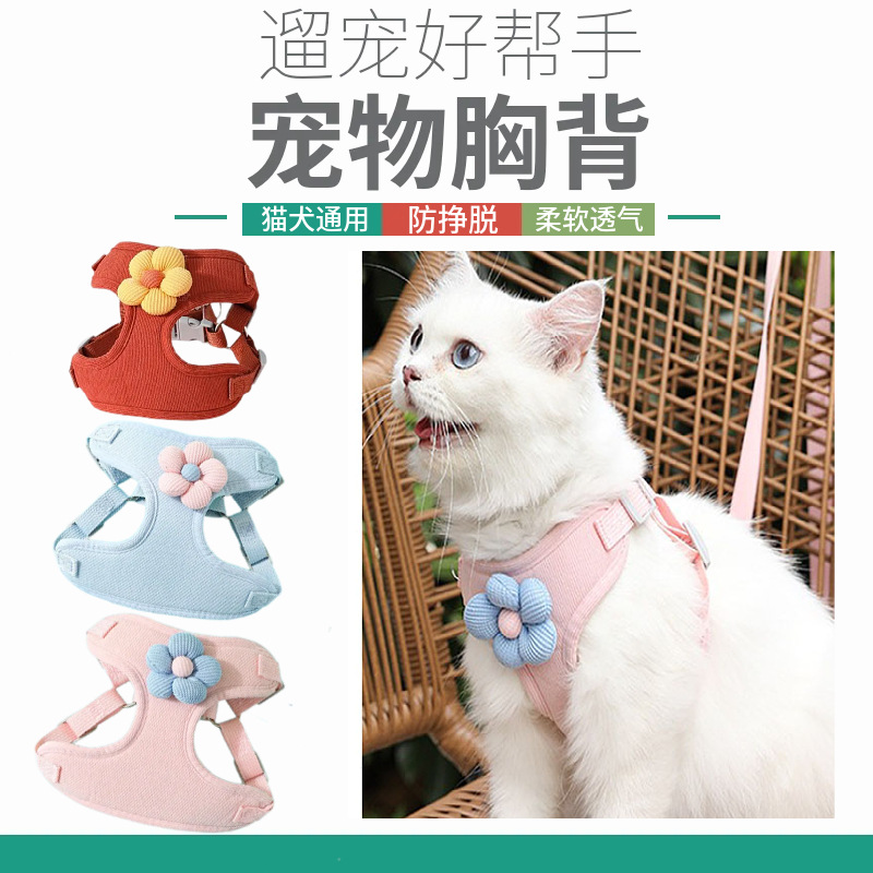 猫咪牵引绳防挣脱小型犬狗狗