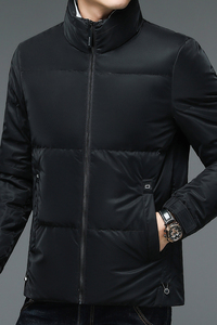 V1251钱塘2020-3冬季羽绒服90白鸭绒立领男士商务休闲外套P235图片