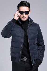 B8218钱塘2020-3冬季立领男士羽绒服90白鸭绒中年商务休闲P230