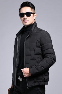 B003钱塘2020-3冬季纯色男士羽绒服90白鸭绒立领休闲纯色P185图片