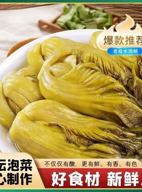 【呗呗香】正宗四川老坛酸菜做饭鱼调料大缸腌制做鱼的酸菜袋装