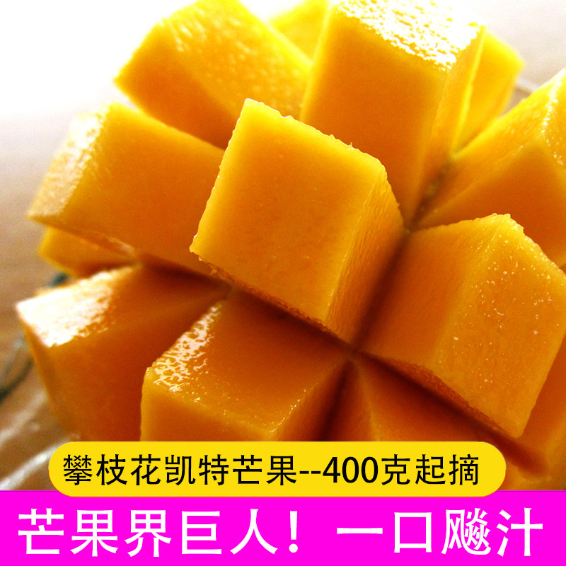 凯特芒果只发一级好果的良心商家