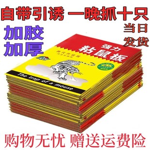 粘鼠板强力胶粘大老鼠贴胶抓鼠灭鼠捕鼠神器超强家用老鼠粘一窝端