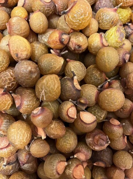 中药材无患子果皮无患子带籽 洗手果 圆皂角皮 肥皂果买一斤包邮