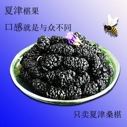 夏津特产干净无沙手工精选2025农家新黑桑椹干椹果干袋装500g包邮
