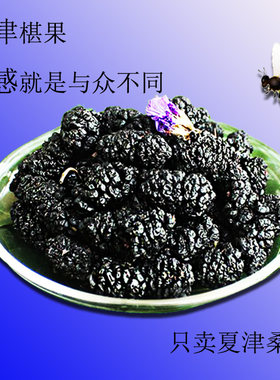 夏津特产精选桑椹干中国椹果之乡