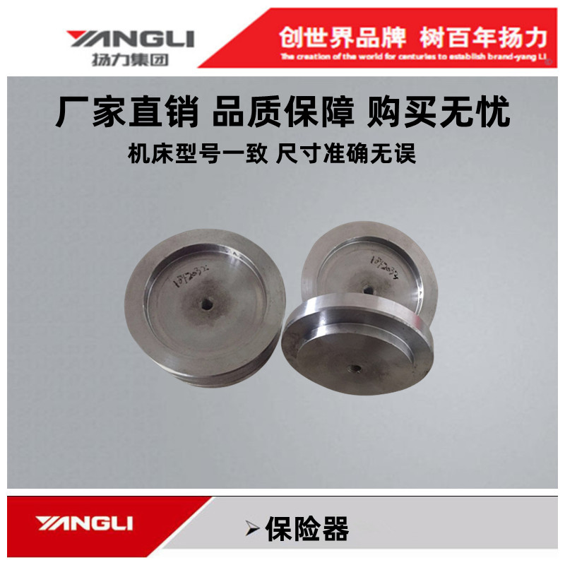 扬力冲床配件原厂正品16T保险器