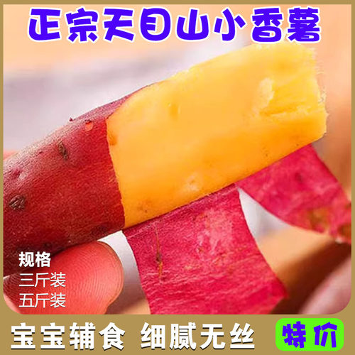 正宗天目山小香薯新鲜地瓜
