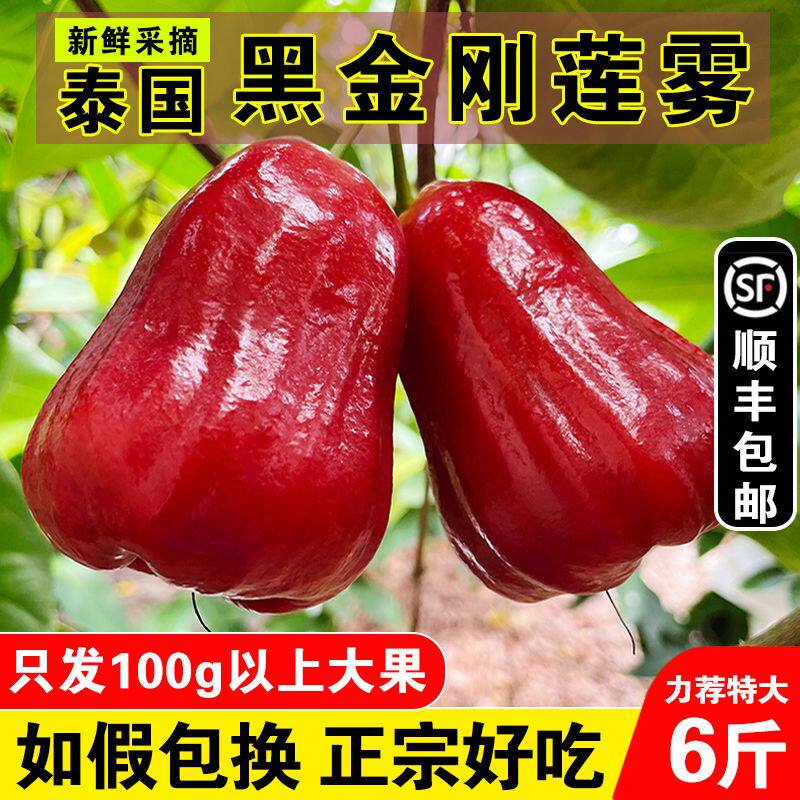 顺丰大果正宗泰国黑金刚莲雾清甜多汁新鲜热带水果一级果雾莲净重
