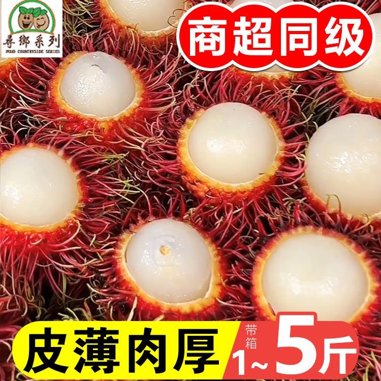 海南红毛丹荔枝新鲜当季