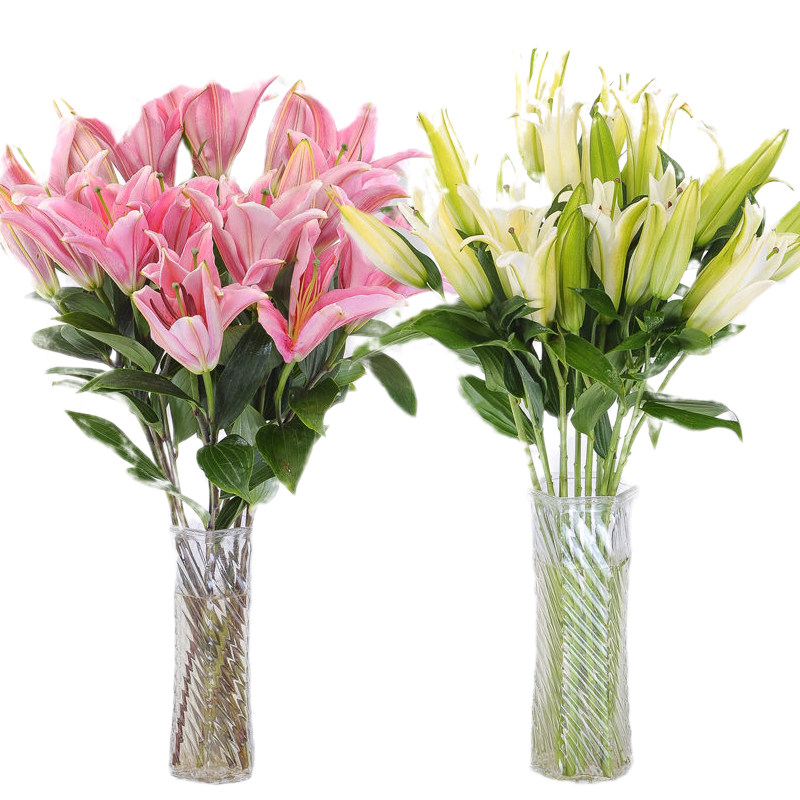 云南香水百合水养鲜花花束直云南昆明基地速递同城客厅摆件礼物