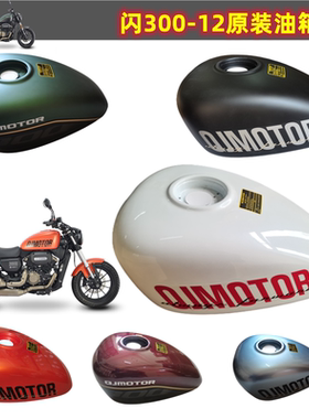 闪300摩托车配件闪300-12油箱汽油燃油箱 燃油泵 汽油滤芯