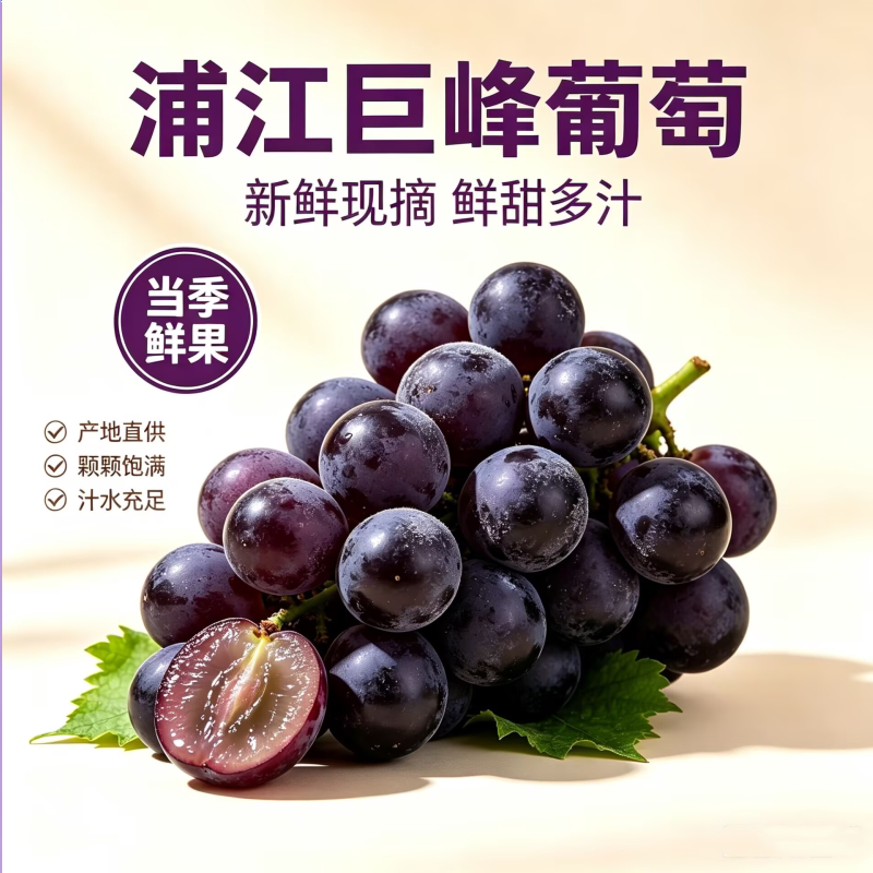 浦江巨峰葡萄新鲜现摘5斤整箱当季孕妇水果本地原产地巨峰提子
