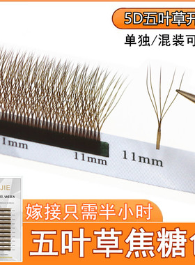 棕色五叶草浓密美睫店专用