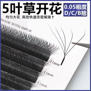 0.05粗度五叶草嫁接睫毛大开花浓密款 bcd美睫店专用yy三叶草升级
