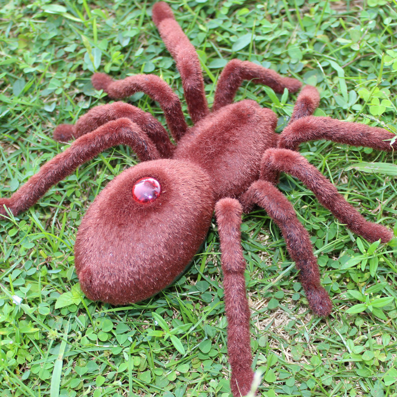 遥控蜘蛛仿真爬行动物模型黑寡妇虫子整蛊人新奇玩具4男孩2-3-5岁