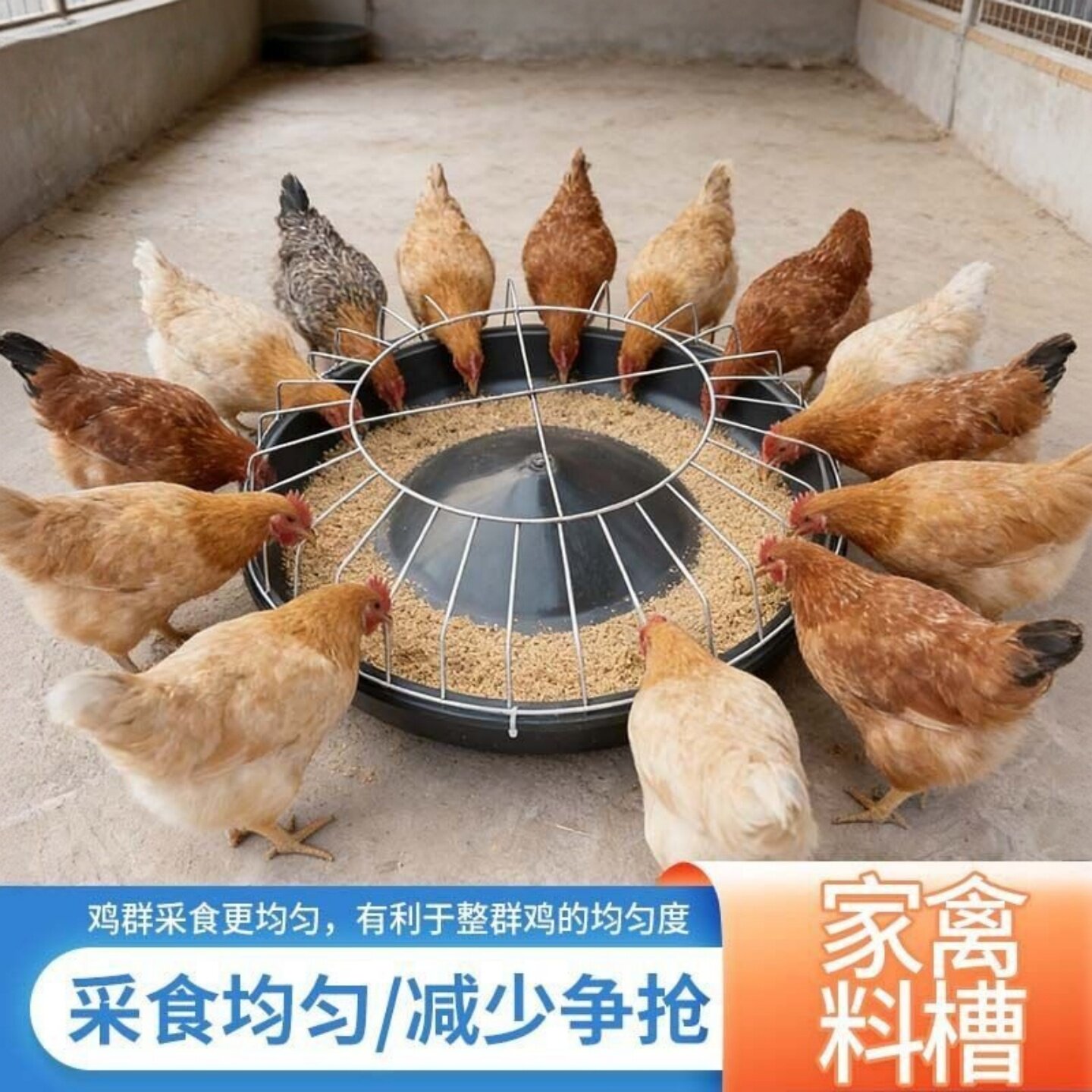 散养鸡鸭鹅专用多孔养殖场神器