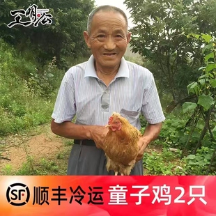 王明公 童子鸡2只1500克农家散养新鲜土鸡整鸡