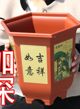 春霖加深六角塑料花盆带托盘底孔
