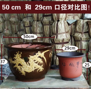 陶瓷龙缸大花盆50cm60cm80cm口径特大号花盆庭院落地种树铁树花盆