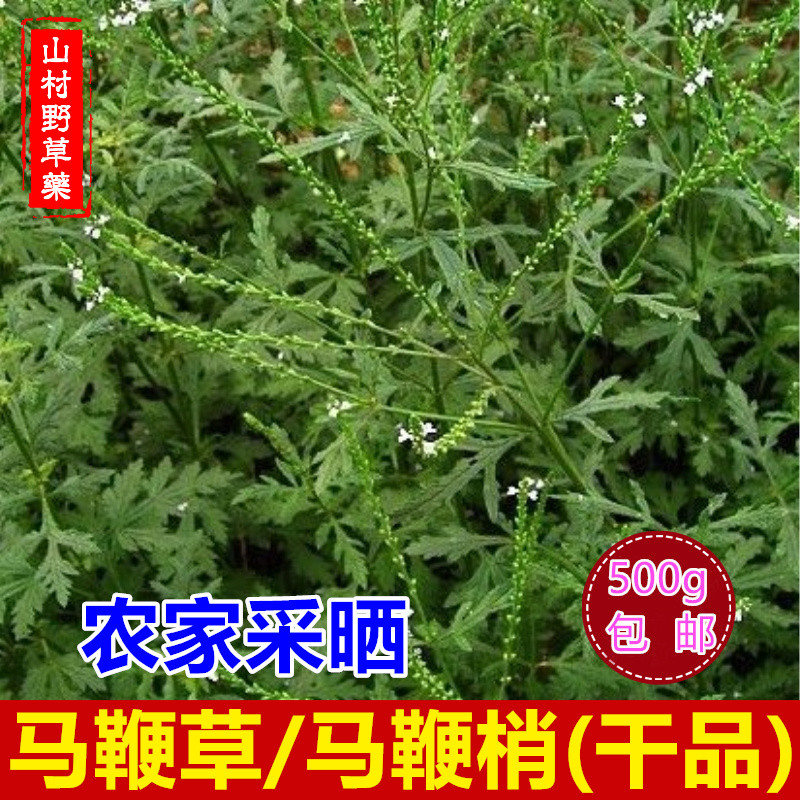 马鞭草 晒干铁马鞭 马边草紫顶龙芽草 野荆芥500g包邮 无硫中药材