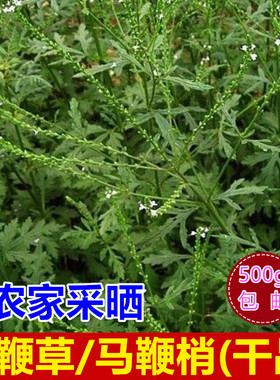 马鞭草马鞭梢铁马鞭干货包邮