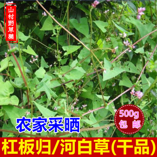 杠板归 刺犁头 河白草 老虎刺 三角盐酸贯叶蓼犁壁刺干货500g包邮
