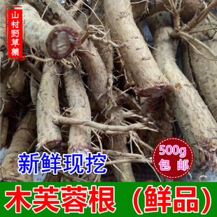 新鲜木芙蓉根500g包邮 现挖醉芙蓉花根 地芙蓉拒霜花树根中草药材