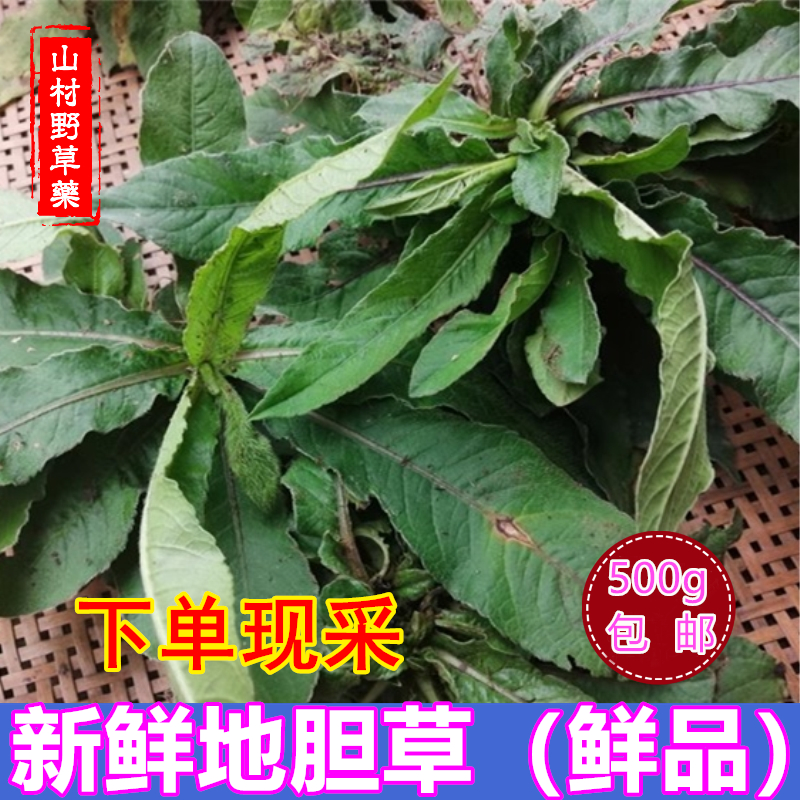 新鲜地胆草 苦地胆全草 煲汤地胆头500g包邮天芥菜坐地娘中草药材