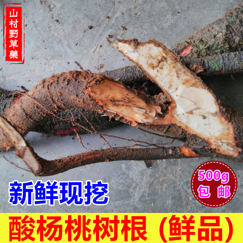 新鲜酸杨桃根一斤树根包邮