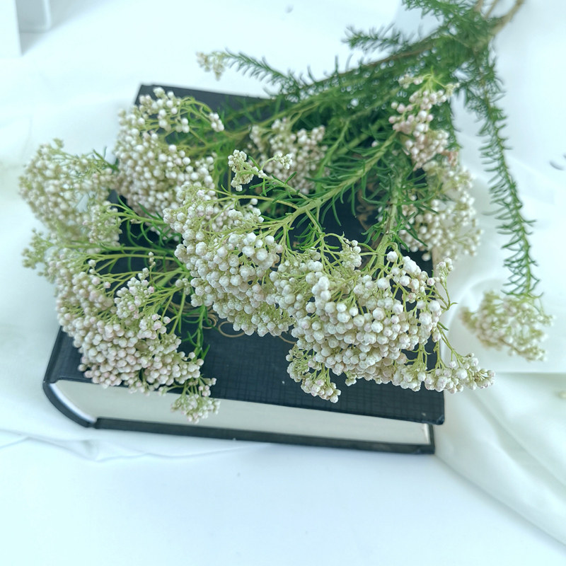 云南干花风干真花米花永生花束ins小清新客厅卧室装饰插花摄影花