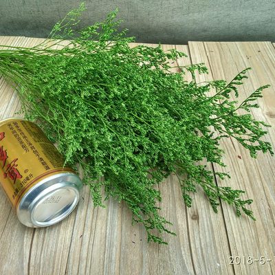 真花情人草易花坊七彩染色